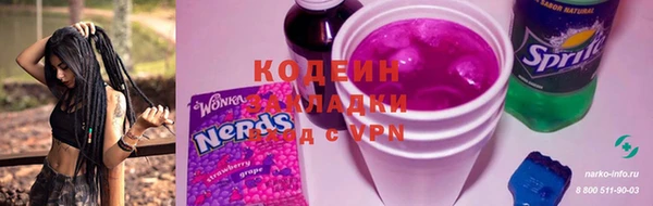 прущие грибы Инта